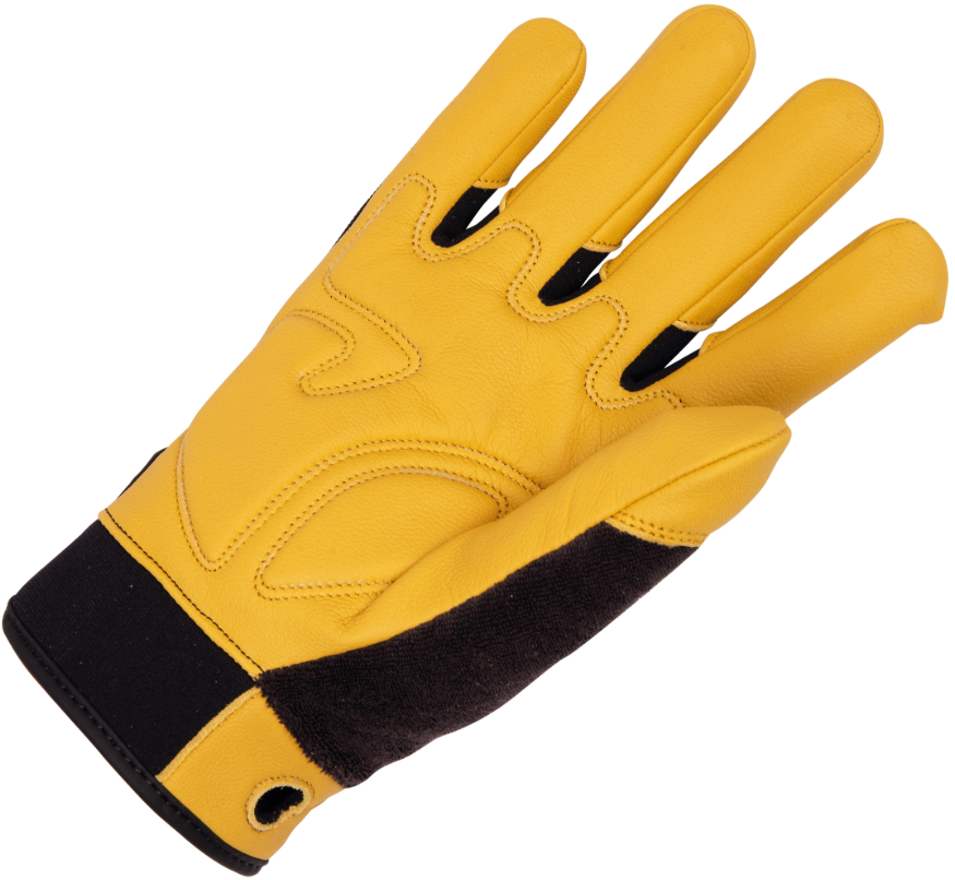 Gant Axion Light | Altishop