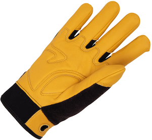 Gant Axion Light | Altishop